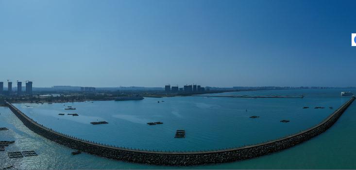 1621316330972071.jpg 81.jpg