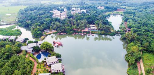 1621317619922457.jpg 91.jpg