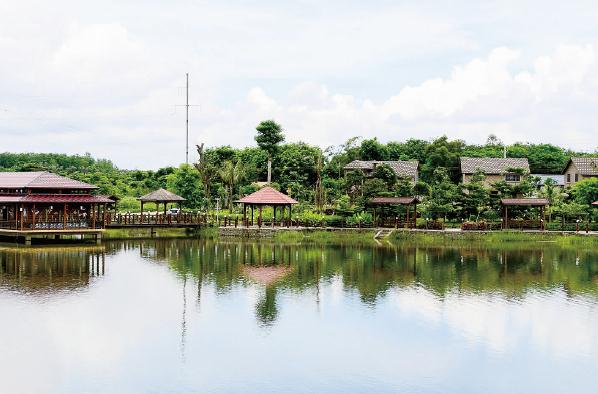 1621318034816003.jpg 97.jpg