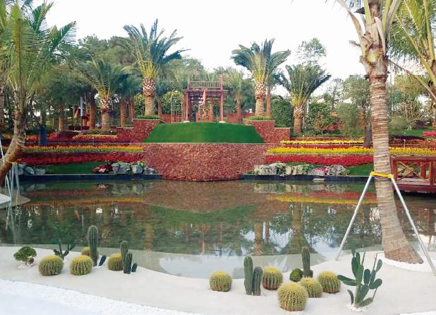 1621583936993991.jpg 163.jpg