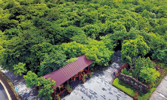 1621748635274827.jpg 233.jpg