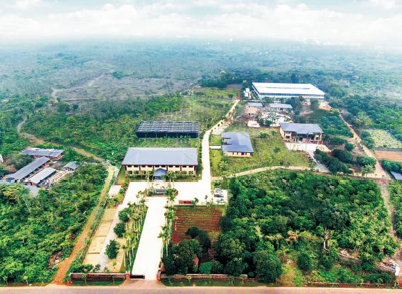 1621748681794202.jpg 233-2.jpg