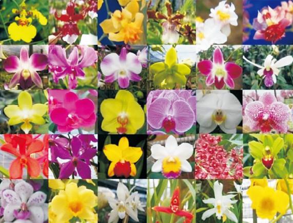 1621748757582983.jpg 234.jpg