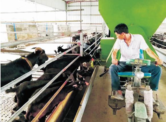 1621749294969299.jpg 245.jpg