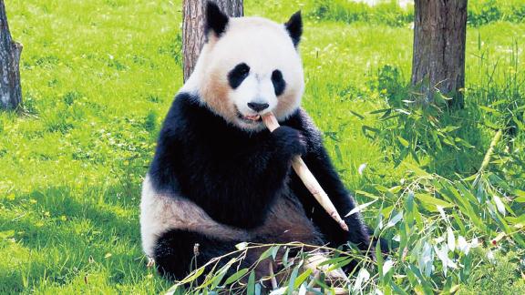 1621750155679918.jpg 264.jpg