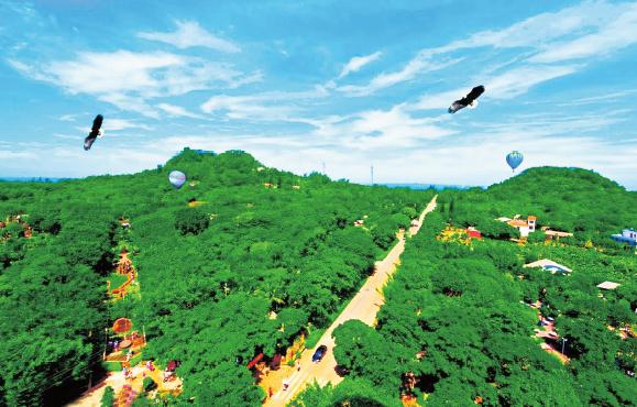 1621750194863514.jpg 265.jpg