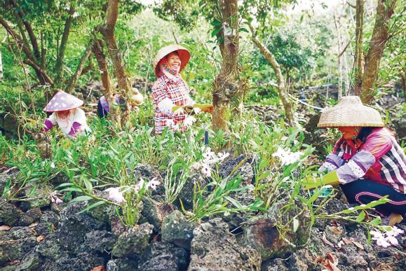 1621750395668212.jpg 266-2.jpg