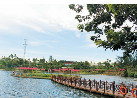 1621750510742049.jpg 268.jpg