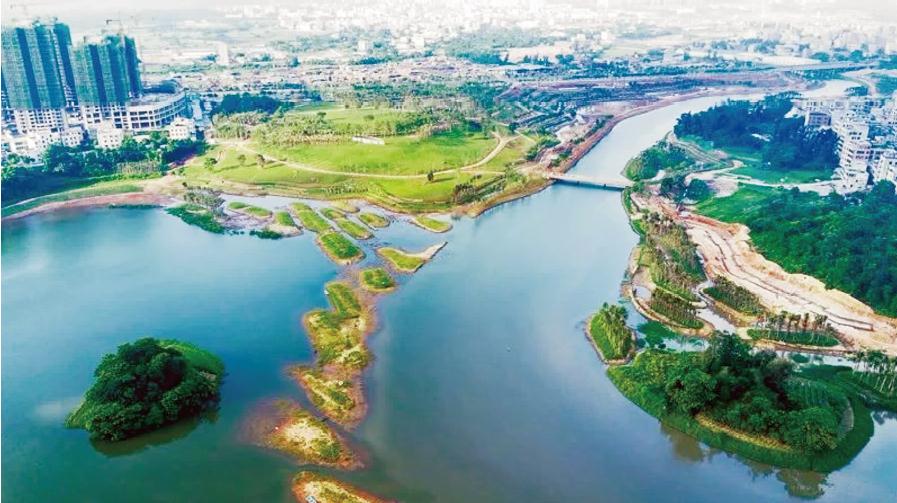 1621750542692568.jpg 268-2.jpg