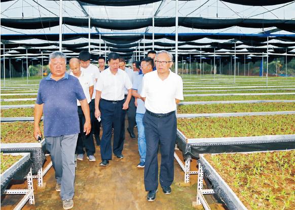 1621756179944522.jpg 428.jpg