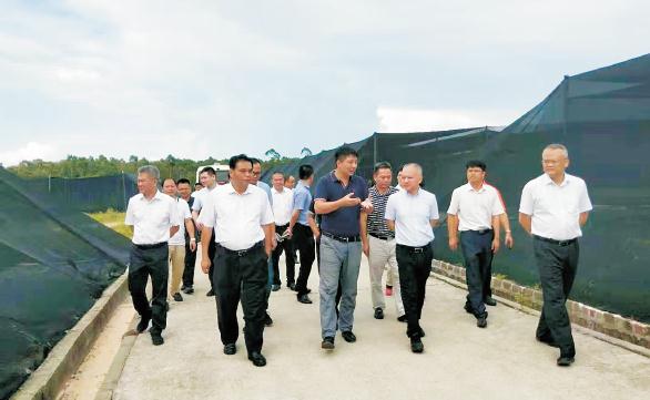 1621756461130714.jpg 442.jpg