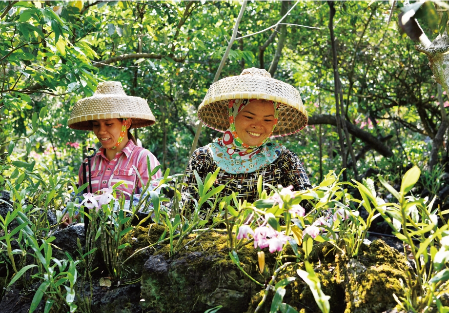 1627461805114160.jpg 搜狗截图20210728153518.jpg