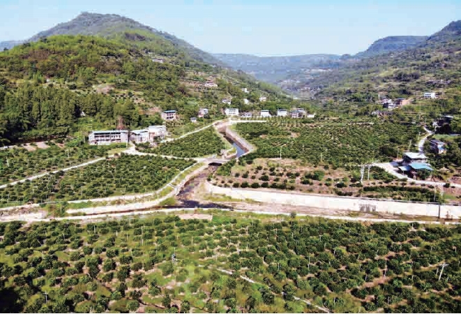 1637630731334586.jpg 搜狗截图20211120182025.jpg