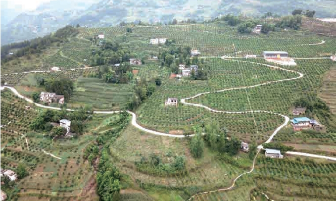 1637630744565746.jpg 搜狗截图20211120182038.jpg