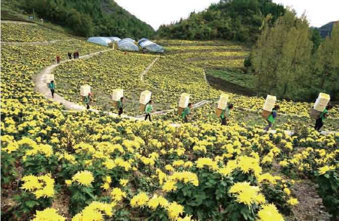 1637630774980750.jpg 搜狗截图20211120182049.jpg