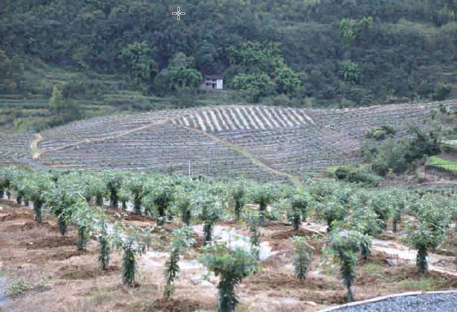 1637630793397807.jpg 搜狗截图20211120182104.jpg