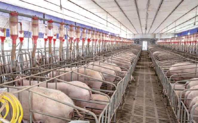 1637630830426020.jpg 搜狗截图20211120182116.jpg