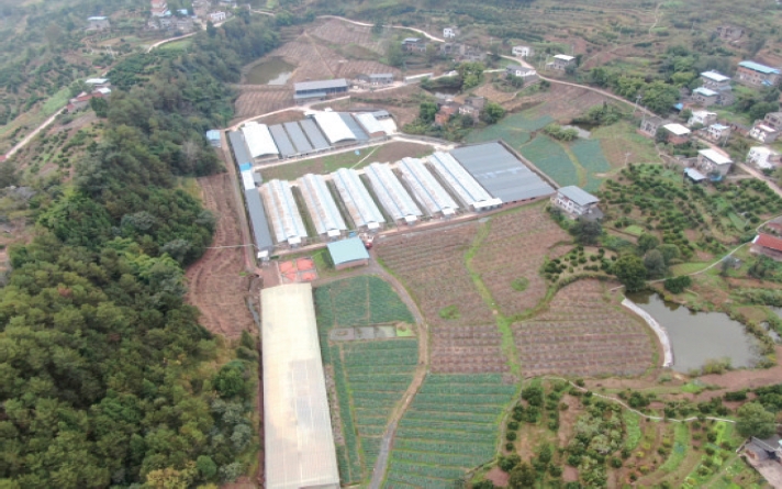 1637634959967092.jpg 搜狗截图20211120183948.jpg