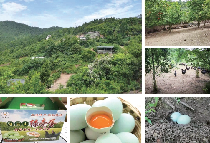 1637634971116064.jpg 搜狗截图20211120184001.jpg