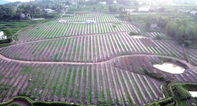 1637635298168722.jpg 搜狗截图20211120184128.jpg