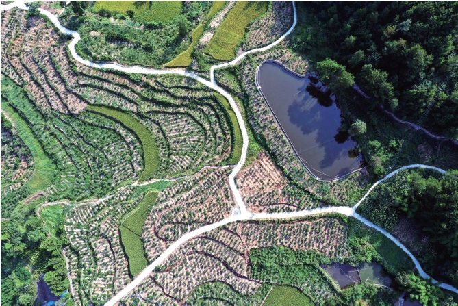 1637635408753075.jpg 搜狗截图20211120184208.jpg