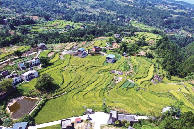 1637635434884075.jpg 搜狗截图20211120184221.jpg