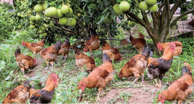 1637635671101499.jpg 搜狗截图20211120184319.jpg