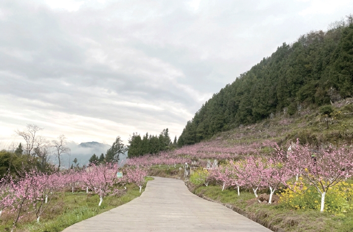 1637636215806398.jpg 搜狗截图20211120184608.jpg