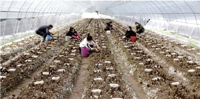 1637636302518434.jpg 搜狗截图20211120184632.jpg