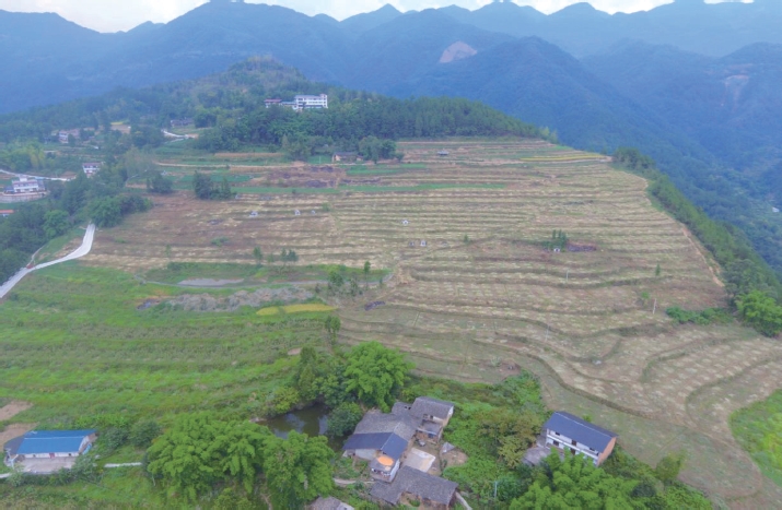 1637636363260084.jpg 搜狗截图20211120184645.jpg