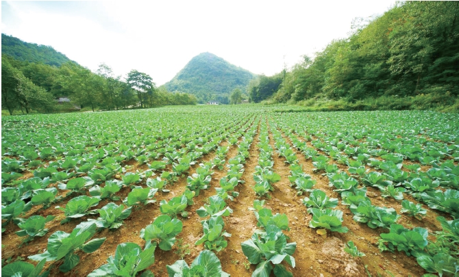 1637636480762241.jpg 搜狗截图20211120184729.jpg