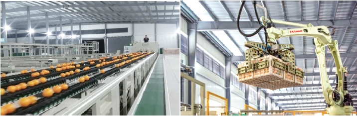 1637636852499833.jpg 搜狗截图20211120184834.jpg