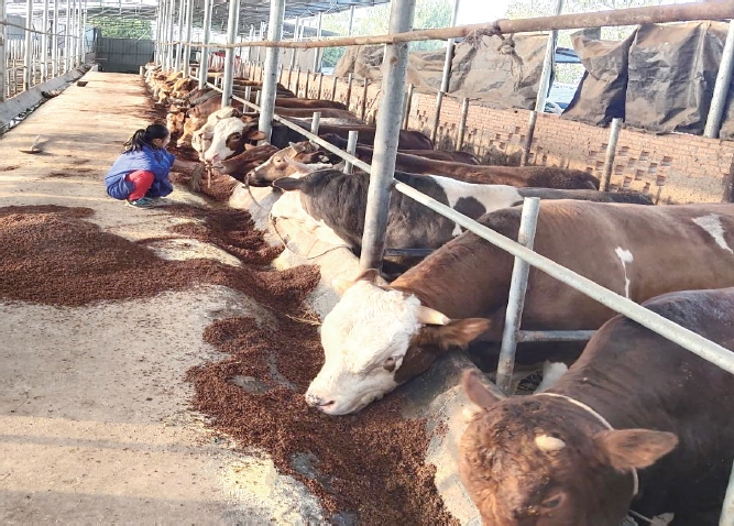 1637637017381316.jpg 搜狗截图20211120184941.jpg