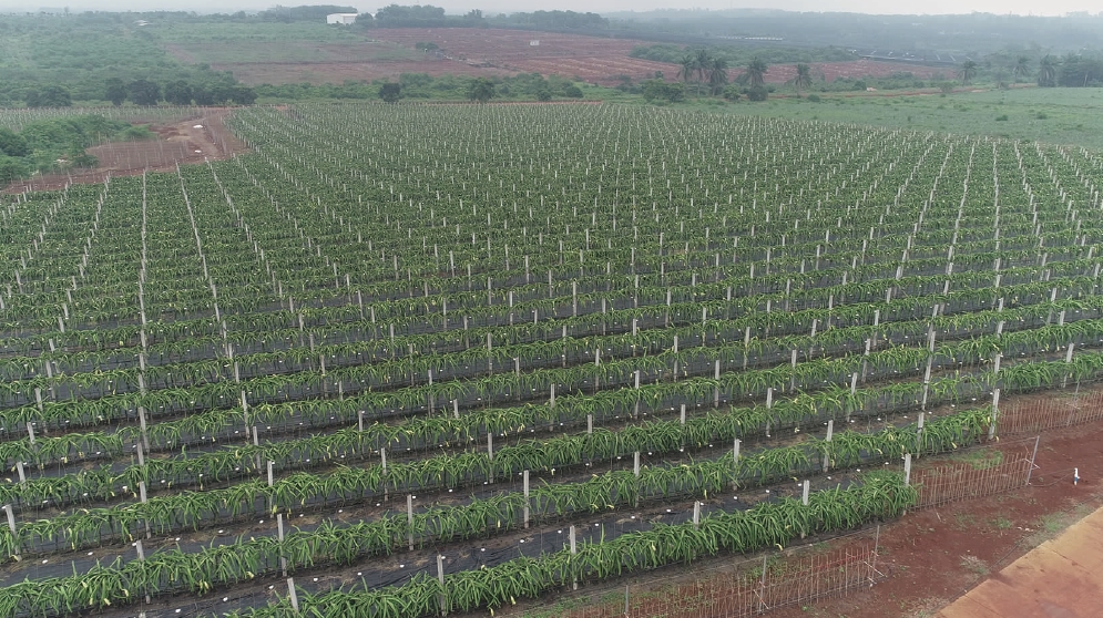 1640051195975315.jpg 搜狗截图20211220174308.jpg