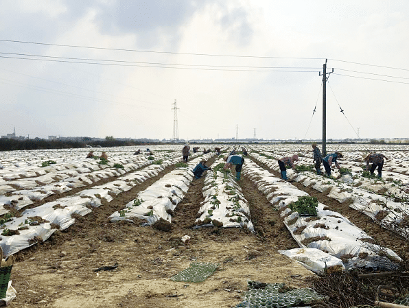 1640613320108187.png BaiduShurufa_2021-12-25_21-58-39-tuya.png