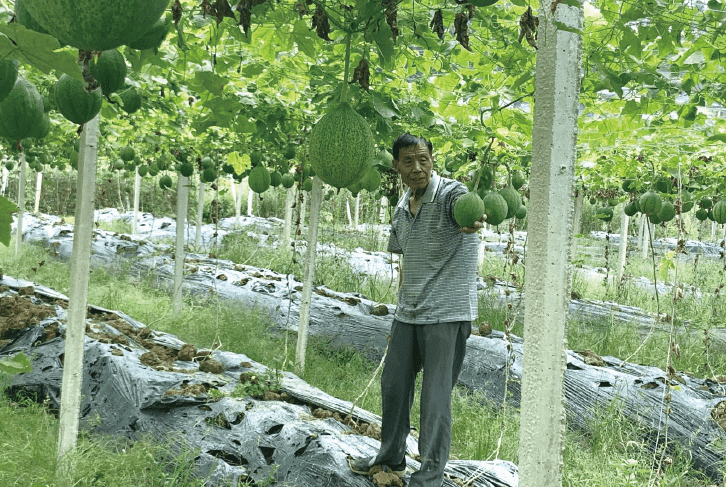 1640841064453200.png BaiduShurufa_2021-12-29_15-51-3-tuya.png