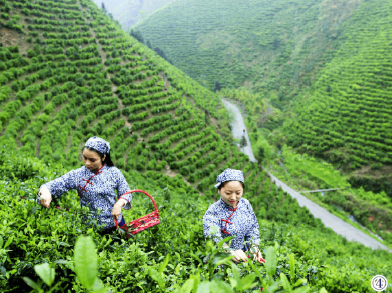 1642122427991787.png image.png