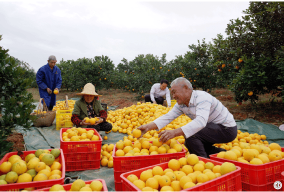 1642122579603823.png image.png