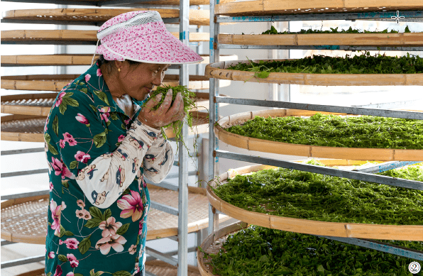 1642122604466179.png image.png