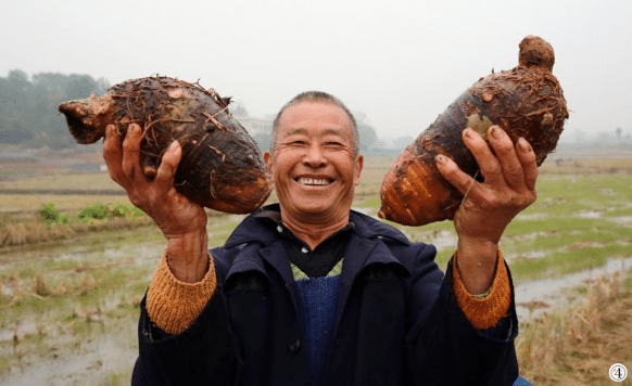 1642122649205272.png image.png