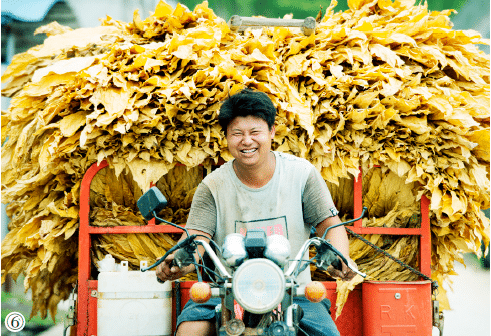 1642122743228363.png image.png