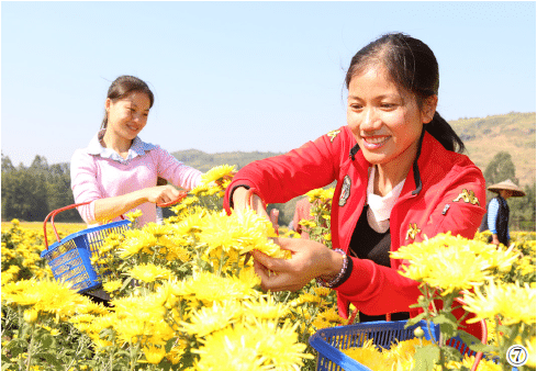 1642122782322296.png image.png