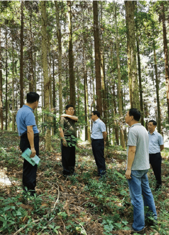 1642642418895649.png BaiduShurufa_2022-1-15_12-21-33.png