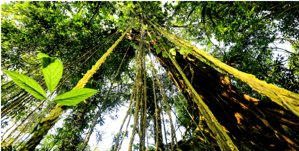 1644226789997244.png 搜狗截图20220207103646.png