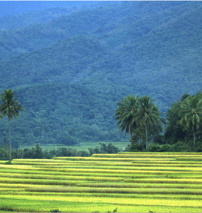 1644227073364492.png 搜狗截图20220207103834.png