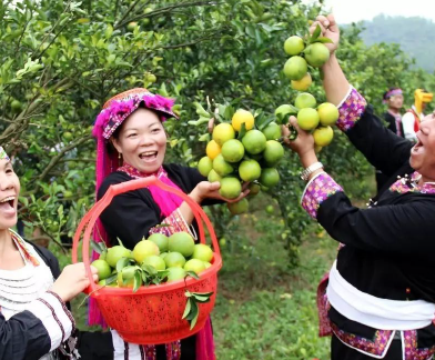 1644227097776917.png 搜狗截图20220207103850.png