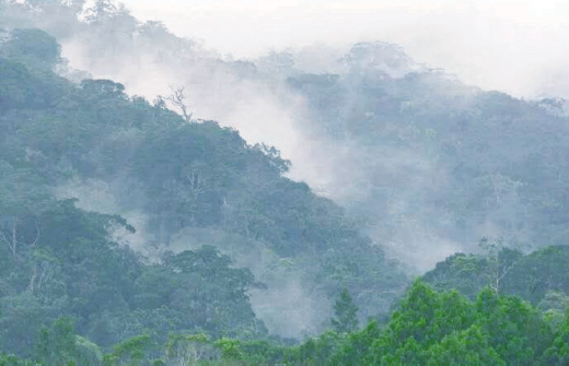 1644234089210922.png 搜狗截图20220207110943.png