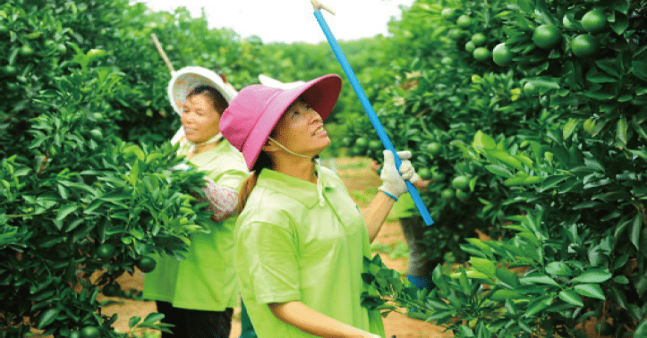 1644653956826975.png BaiduShurufa_2022-2-10_12-50-32.png