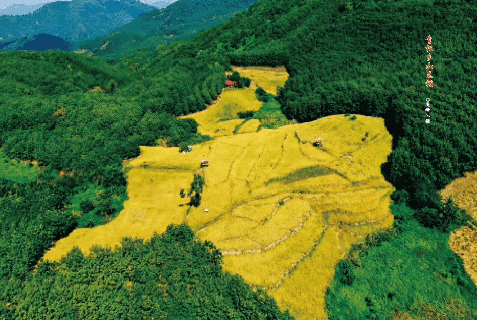 1649381262253668.png BaiduShurufa_2022-4-8_9-21-7-tuya.png