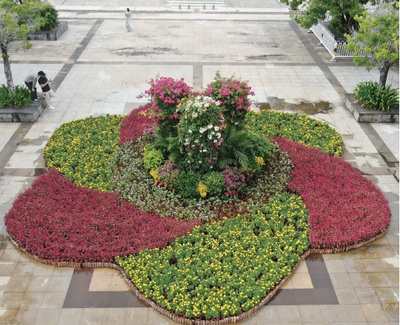 1651714649239666.jpg BaiduShurufa_2022-4-7_11-33-39-tuya.jpg